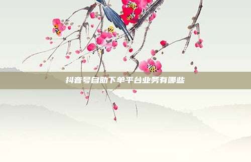 抖音号自助下单平台业务有哪些