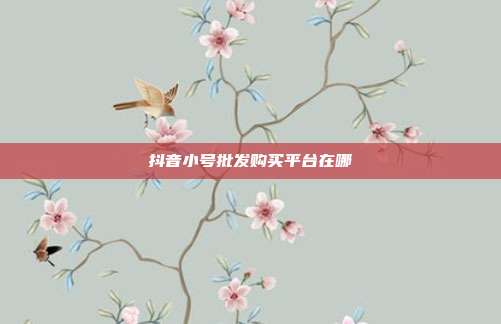 抖音小号批发购买平台在哪