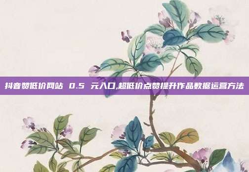 抖音赞低价网站 0.5 元入口,超低价点赞提升作品数据运营方法