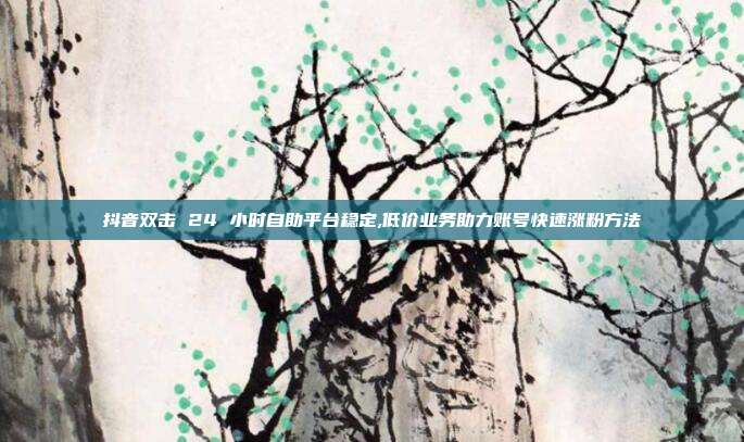 抖音双击 24 小时自助平台稳定,低价业务助力账号快速涨粉方法
