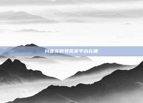 抖音实时号批发平台在哪