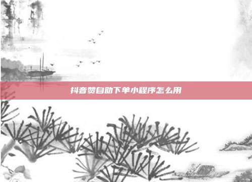 抖音赞自助下单小程序怎么用
