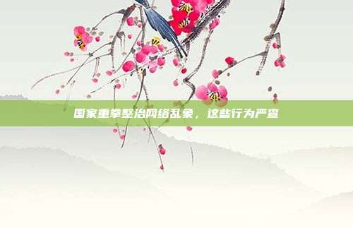 国家重拳整治网络乱象,这些行为严查