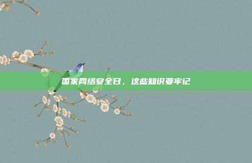 国家网络安全日,这些知识要牢记