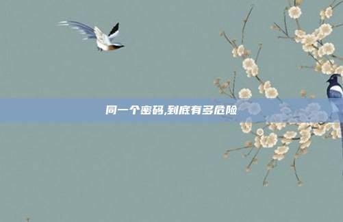 同一个密码,到底有多危险