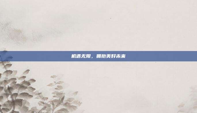 机遇无限,拥抱美好未来