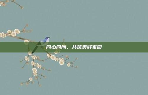 同心同向,共筑美好家园