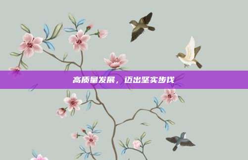高质量发展，迈出坚实步伐