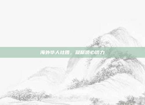 海外华人社团，凝聚侨心侨力