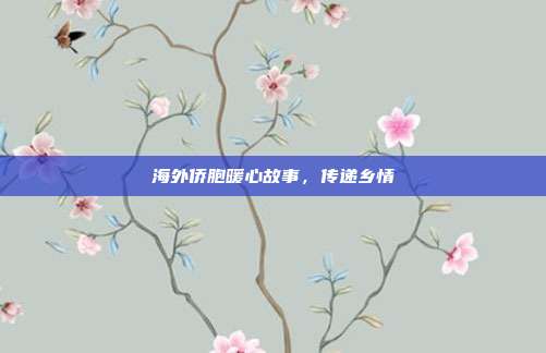 海外侨胞暖心故事，传递乡情
