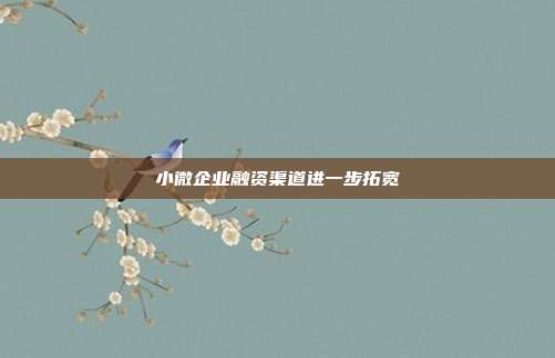 小微企业融资渠道进一步拓宽