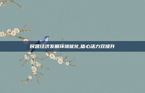 民营经济发展环境优化,信心活力双提升