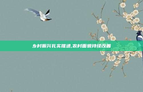 乡村振兴扎实推进,农村面貌持续改善
