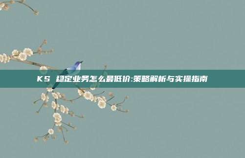 KS 稳定业务怎么最低价:策略解析与实操指南