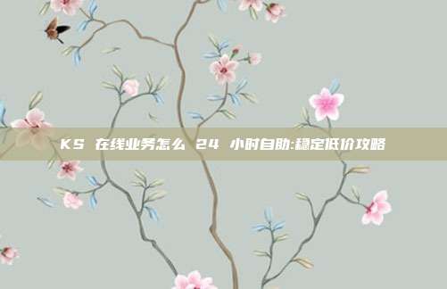 KS 在线业务怎么 24 小时自助:稳定低价攻略