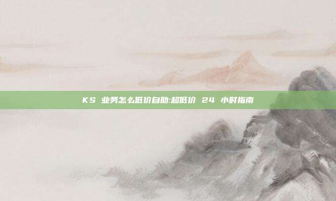 KS 业务怎么低价自助:超低价 24 小时指南