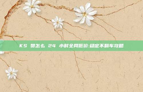 KS 赞怎么 24 小时全网低价:稳定不翻车攻略