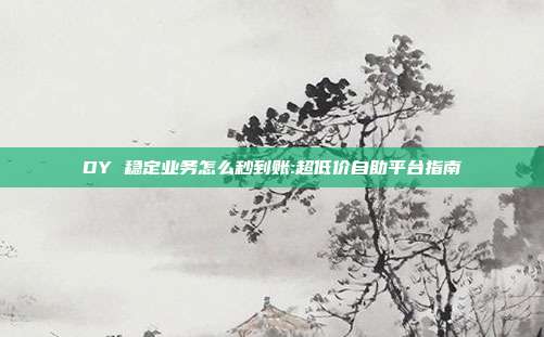 DY 稳定业务怎么秒到账:超低价自助平台指南