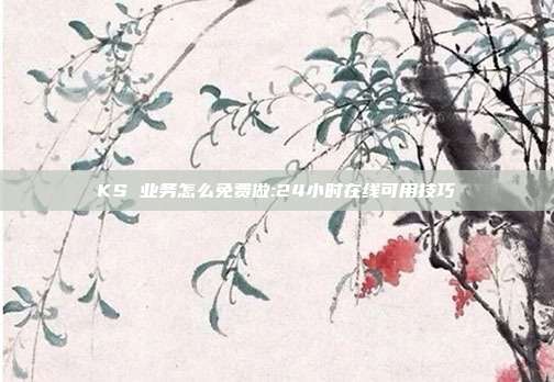 KS 业务怎么免费做:24小时在线可用技巧