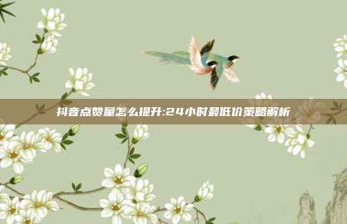 抖音点赞量怎么提升:24小时最低价策略解析