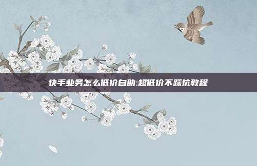 快手业务怎么低价自助:超低价不踩坑教程