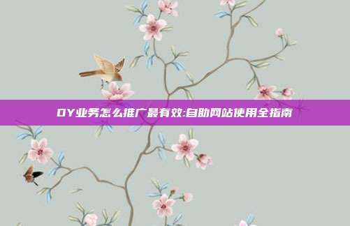 DY业务怎么推广最有效:自助网站使用全指南
