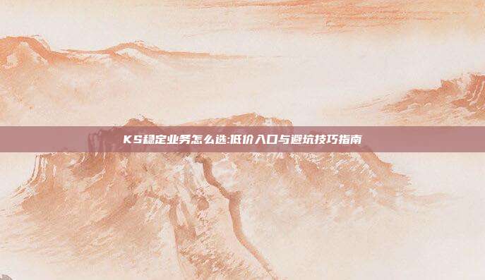 KS稳定业务怎么选:低价入口与避坑技巧指南