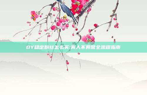 DY稳定粉丝怎么买:真人不异常全流程指南