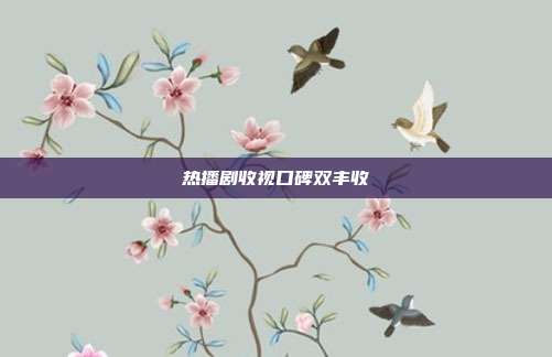 热播剧收视口碑双丰收
