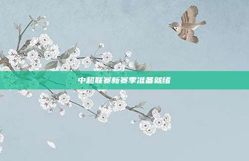 中超联赛新赛季准备就绪