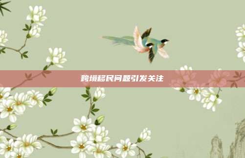 跨境移民问题引发关注