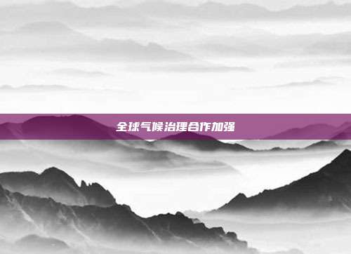 全球气候治理合作加强