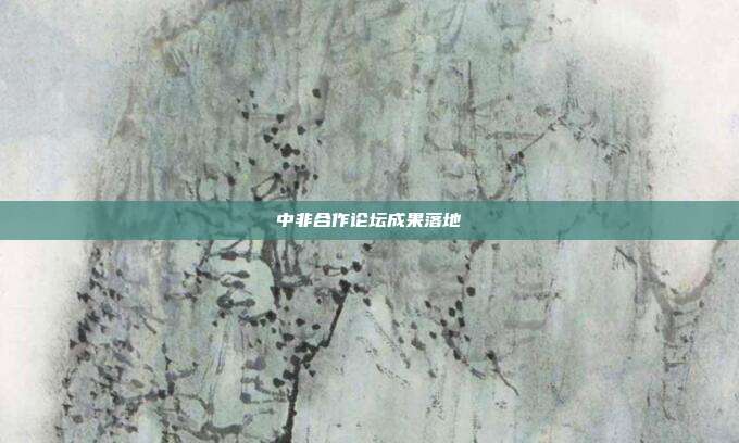 中非合作论坛成果落地