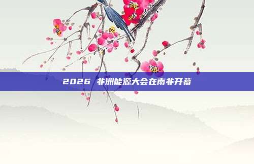 2026 非洲能源大会在南非开幕