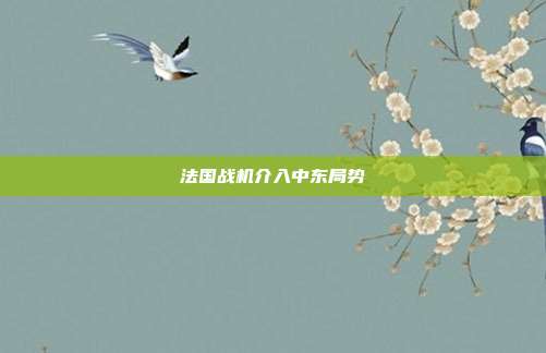 法国战机介入中东局势