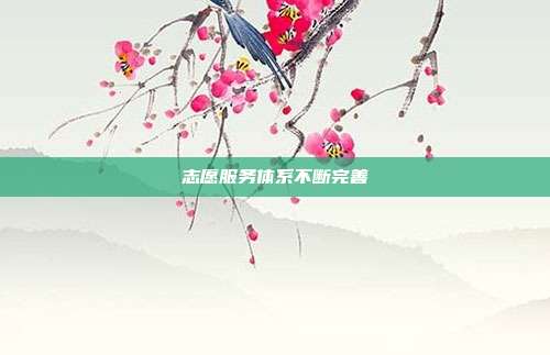 志愿服务体系不断完善