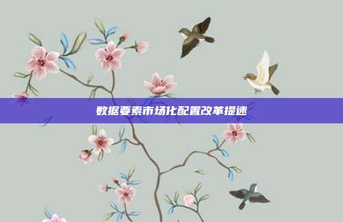 数据要素市场化配置改革提速