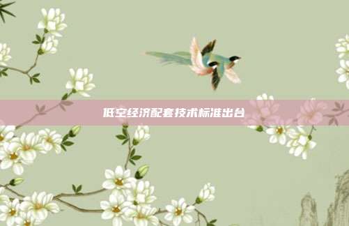 低空经济配套技术标准出台