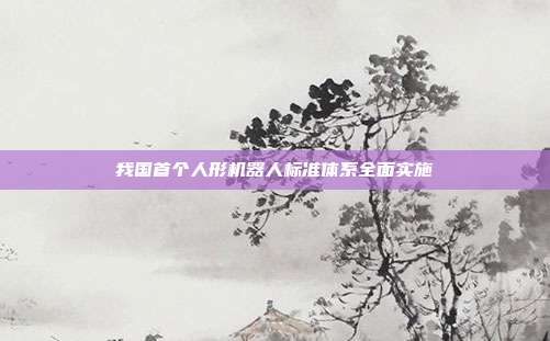 我国首个人形机器人标准体系全面实施