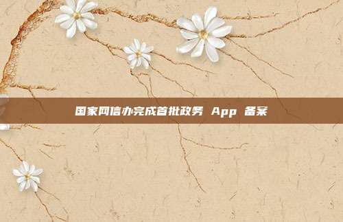 国家网信办完成首批政务 App 备案