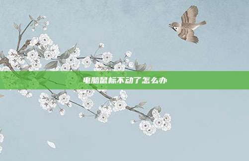 电脑鼠标不动了怎么办
