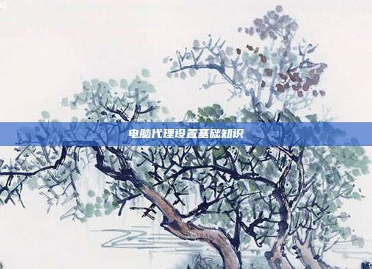电脑代理设置基础知识