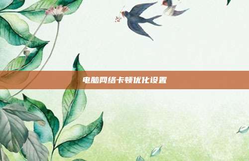 电脑网络卡顿优化设置