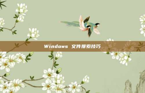 Windows 文件搜索技巧