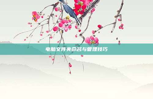 电脑文件夹命名与管理技巧