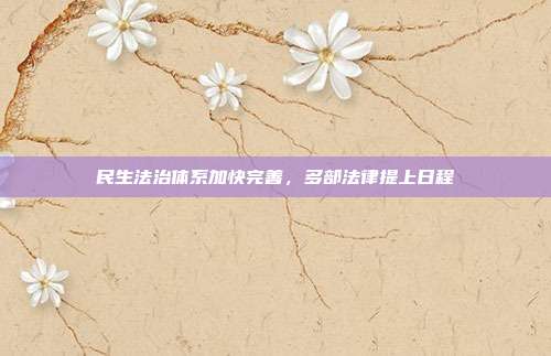 民生法治体系加快完善,多部法律提上日程