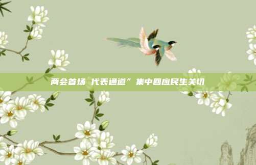两会首场 代表通道”集中回应民生关切