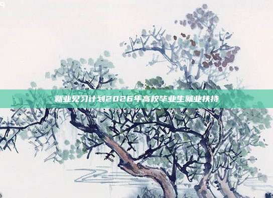 就业见习计划2026年高校毕业生就业扶持