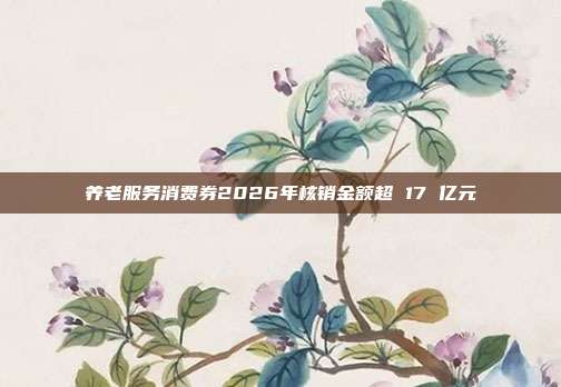 养老服务消费券2026年核销金额超 17 亿元