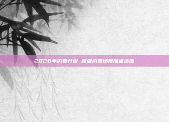 2026年消费升级 新型消费场景加速落地
